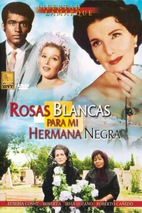 Rosas blancas para mi hermana negra
